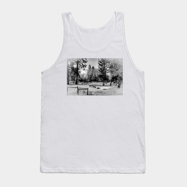 Snow Horses - Black And White Tank Top by davidbstudios